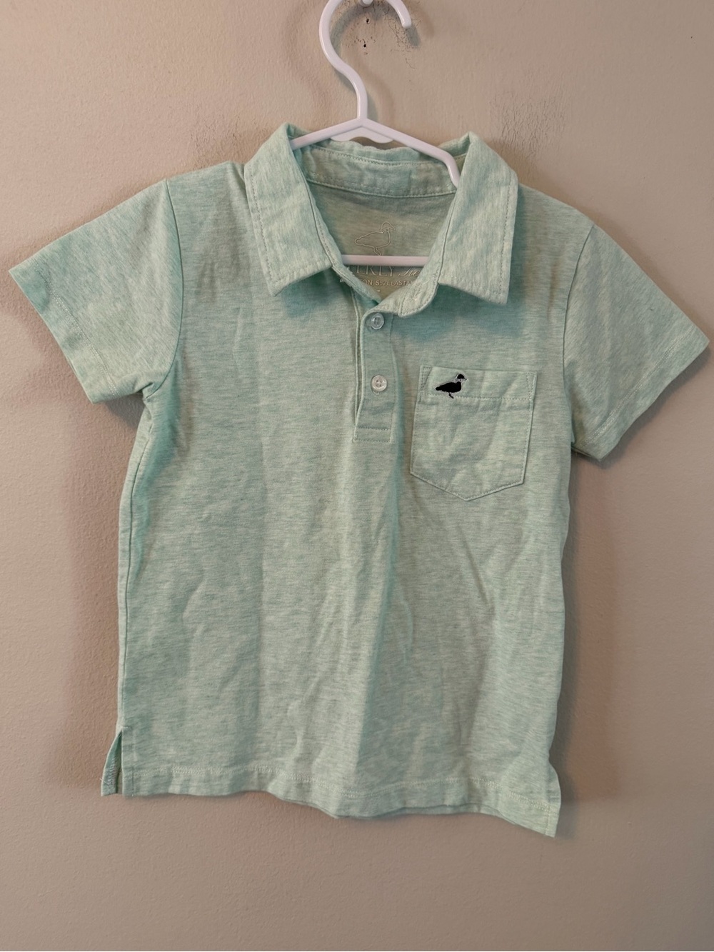 Properly Tied Light Mint Polo Shirt